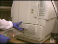 Bio Rad Chemi Doc XRS.mpg Bio Rad Chemi Doc XRS.mpg