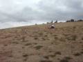 Tara Vs Kilburn hill
