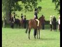 070729 - RIHS Open Lead Rein