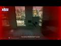 MoB.cod4 in cevo-p