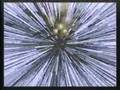 Star Fox 64 - Mission 2A - Meteo