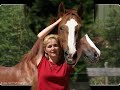 Horse Image Chalet Parket KPWN Horse Image Chalet Parket KPWN