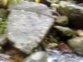 videos de Trindade 