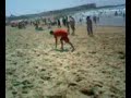 simo hico mouh tennis beach