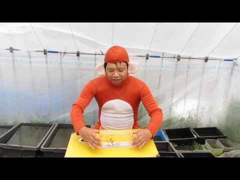 YouTube Preview Image