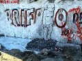 Blublu - wall piant annimation Blublu - wall piant annimation