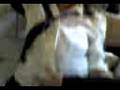 videos de Parto !