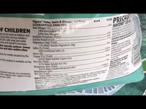 how to fertilize king palm