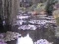 Giverny #1 Water Garden 011009 1MB