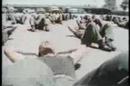 Someone Special: The Making of a US Navy SEAL usnavyseals.tv