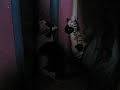 Havoc#3(The Last Straw) Havoc#3(The Last Straw)