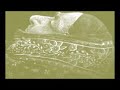 الشاعر المصري محمود سامي البارودي هوأحد زعماء الثورة العرابية وأشعر الشعراء المصريين، فقد أباه وهو في السابعة من عمره ، إهتم بعض ذويه بتعليمه فوجهوه بعد التعليم الإبتدائي إلى المدارس الحربية، فتخرّج منها ضابطا متقنا للفنون الحربية، ومع ذلك بقي مشغوفا بالمطالعة مولعا بالأدب، فأخذ يلتهم دواوين الشعراء ويتذاكر في قضايا الشعر مع معاصريه، والمولعين بالأدب، فتهذّبت ميوله، وقويت شاعريّته، وتقوّم لسانه على الفصاحة، أخذ ينظم الشعر وهو في العشرين من عمره، رحل إلى الآستانة فإتقن الفارسية والتركية، وله فيها قصائد، وعاد إلى مصر فكان من قواد الحملتين المصريتين لمساعدة تركيا الأولى في عام 1868، والثانية في الحرب الروسية عام 1877، وتقلّب في المناصب، وإنتهت به إلى رئاسة النظّار، ولما حدثت الثورة العرابيّة، كان في صفوف الثائرين، ودخل الإنكليز القاهرة، فقبض عليه وسجن، وحُكم عليه بالإعدام، ثم أبدل الحكم بالنفي إلى جزيرة سيلان، حيث أقام سبعة عشر عاما تعلم الإنكليزية في خلالها ، وترجم عنها كتبا إلى العربيّة ، وكف بصره ، وعُفي عنه في العام 1899، فعاد إلى مصر، له ديوان شعر في جزئين، وله مجموعات شعرية سُميّت مختارات البارودي، جمع فيها مقتطفات لثلاثين شاعرا من الشعر العبّاسي، وله مختارات من النثر تُسمّى قيد الأوابد، نظم البارودي مطولة في مدح الرسول عليه الصلاة والسلام، تقع في أربعمائة وسبعة وأربعين بيتا، وقد جارى فيها قصيدة البوصيري البردى، قافية ووزنا وسماها، كشف الغمّة في مدح سيّد الأمة.. يُعد محمود سامي البارودي من الشعراء المؤمنين بتهذيب الشعر، فقد روي أنه عندما عاد من المنفى بدأ يرتّب من جديد ديوانه، ويعيد النظر فيما قاله من القصائد، وقصده من ذلك أن يخلّف للأجيال شعرا جيدا مصقولا لفظا ومعنى ، تُوفِّي في الثاني عشر من شهر كانون الأول في العام 1904م. ولقب باسم فارس السيف والقلم
