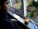 Zizinho aan het drummen Zizinho aan het drummen