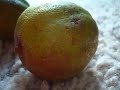 Un Limon Y Medio Limon