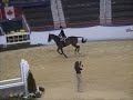 Allison Warm Up - Harrisburg