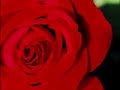 the-gift-of-love.html