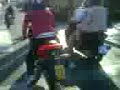 topo videos  persiguiendo a fleky