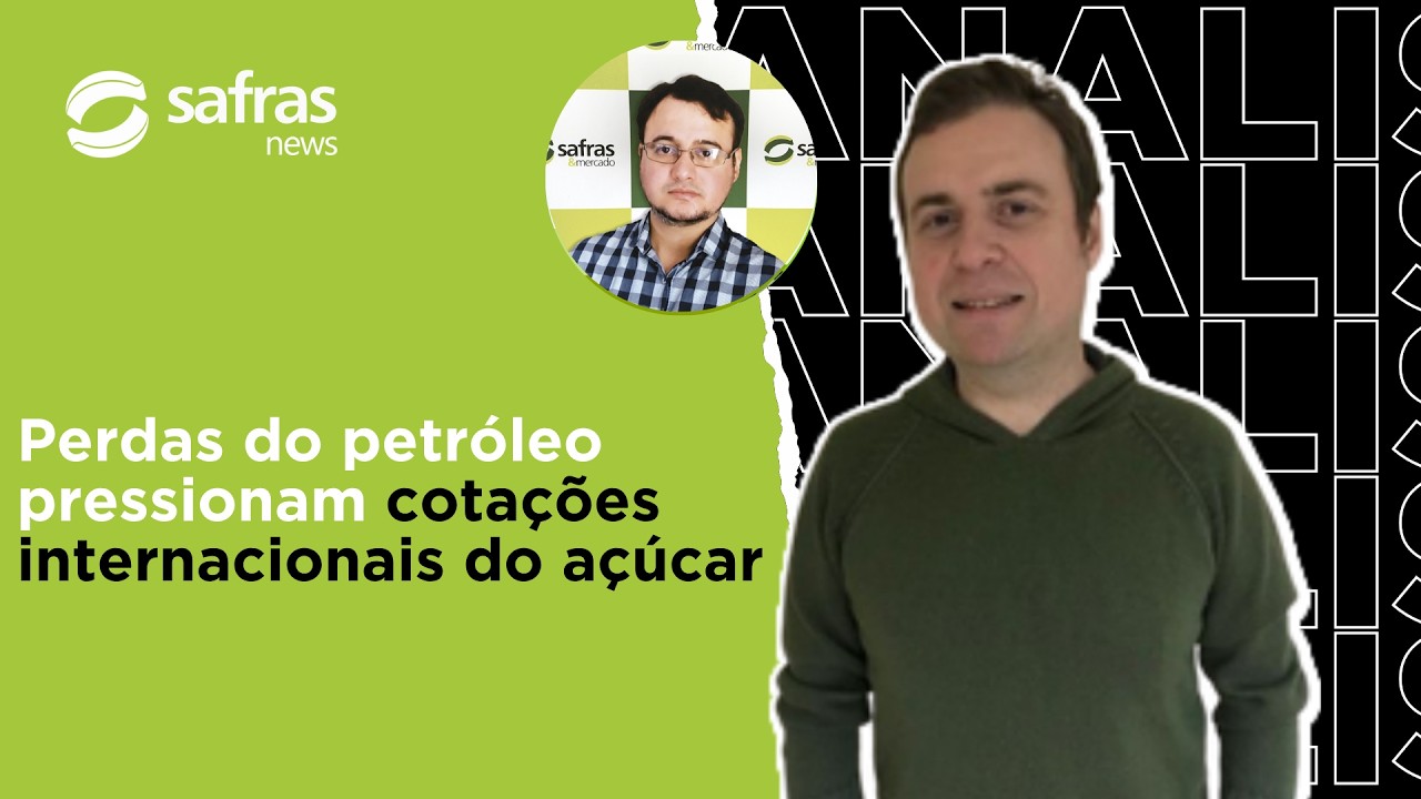 Perdas do petróleo pressionam cotações internacionais do açúcar