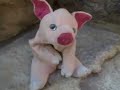 pork-trekker-a-beanie-baby-disney-globe-trekker-spoof.html