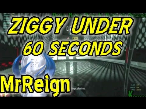 how to recover ziggy