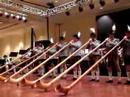Gaufest, Alt-Washingtonia, Seven Alphorns Gaufest, Alt-Washingtonia, Seven Alphorns