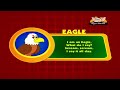 Animal Sounds in Hindi - Eagle