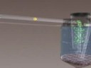 Video Biodigestor (ANCRO) Video Biodigestor (ANCRO)
