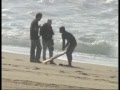 NAZARE SPECIAL EDITION 2OO7 DIA D