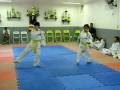 exame tkd miguel