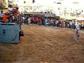 bous borriol