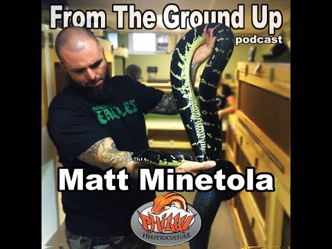 YouTube reptile video