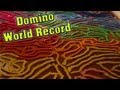 WORLD RECORD - Biggest / Longest Squiggle Domino Line Ever