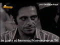 La perla de cadiz por bulerias con manuel morao