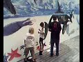 wyland life video day 12 section 21