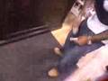 jim jones dvd 1