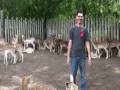 20080614164354.wmv