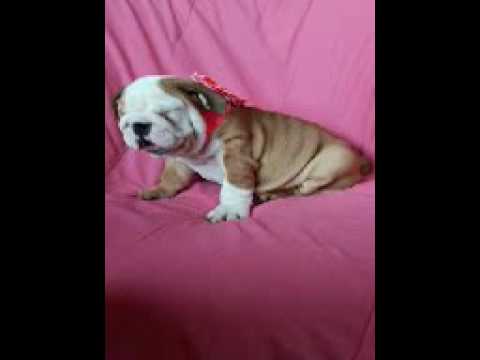 Trina having a good day on camera June 8th 2017