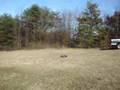 Traxxas T-MAXX 2.5R