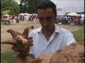 film concept qui nous plonge dans le paradoxe d'une action artistique en live au milieu des people lors de la fameuse garden party annuelle au ch�teau de bertich�res avec comme rep�re  