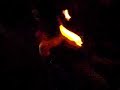 Pirofagia - Showbar