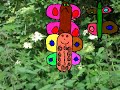 A Day in the Spinney