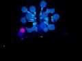 videos de Sensation White 2008 - 2 Kjeld Tolstrup
