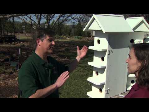 how to build a purple martin house