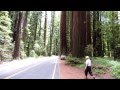 Avenue of the Giants, Humboldt Redwood state ...