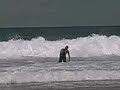 moi qui surf :p : les videos Surf