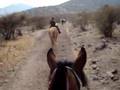 Cabalgata Colina