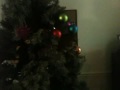 Mister cheese xmas tree