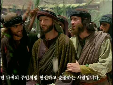 Zhangbozhi+chenguanxi