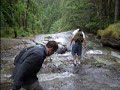 Henline Falls - Falls #4