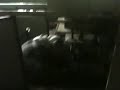 Paradise sucks